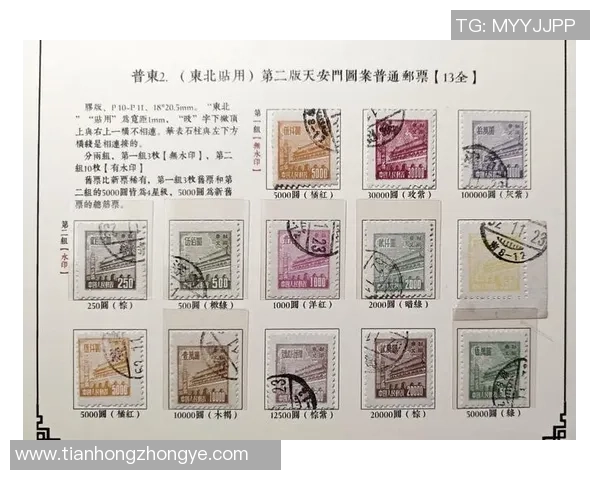 足球卡收藏热潮揭秘追逐球星卡的背后价值与收藏技巧分析